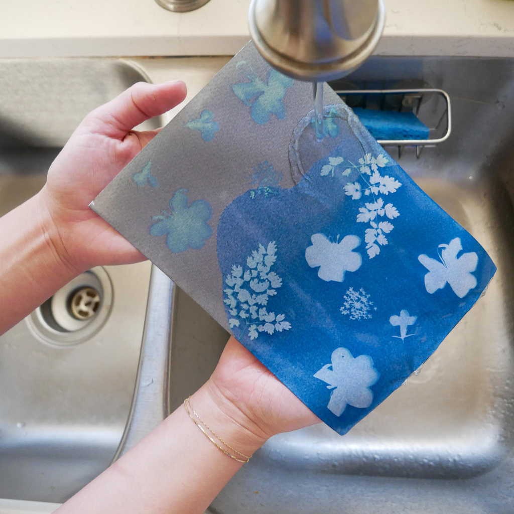 Cyanotype Kit
