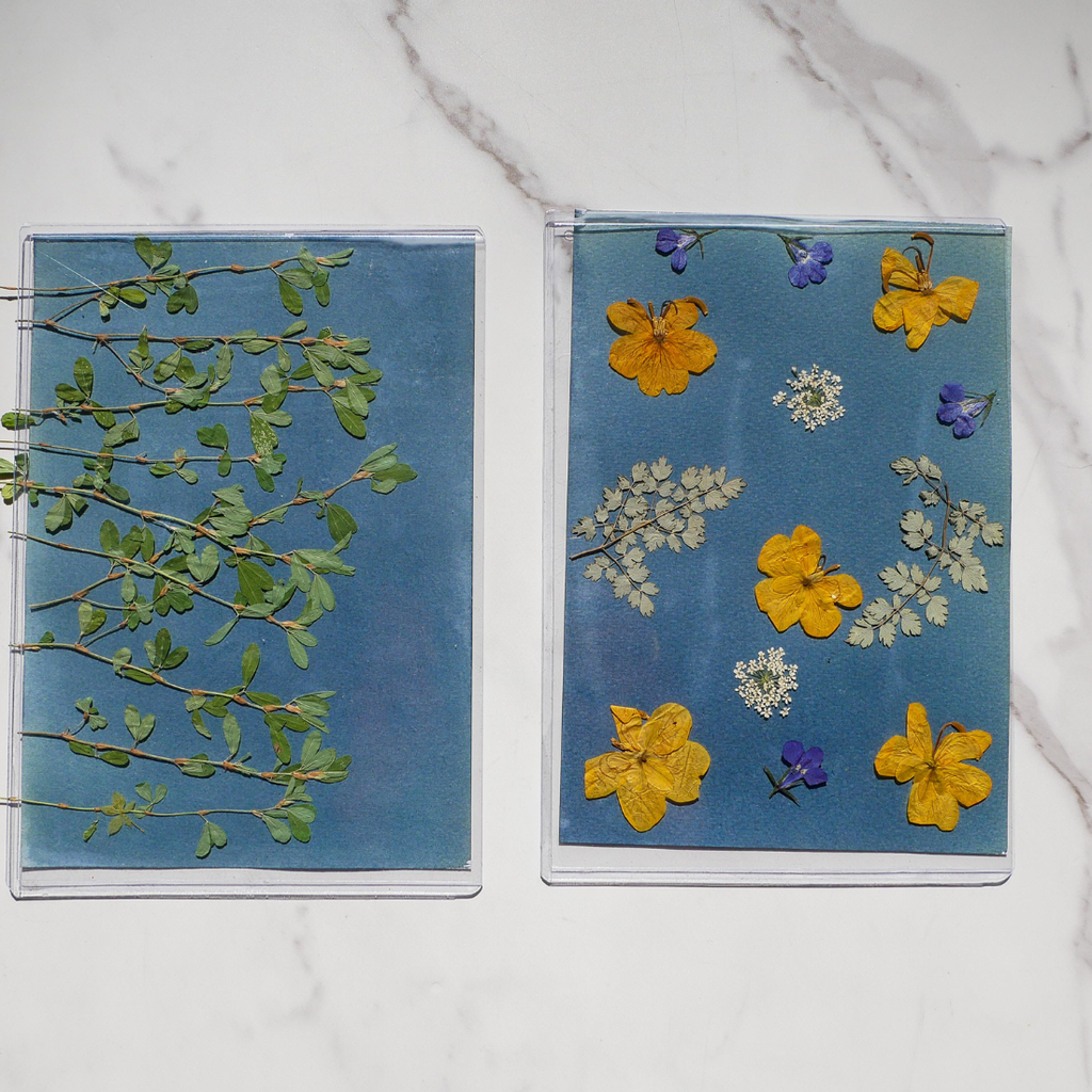 Cyanotype Kit