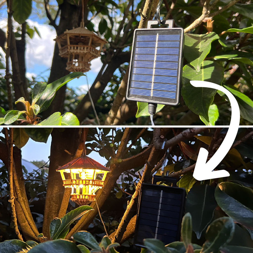Solar LED Lights