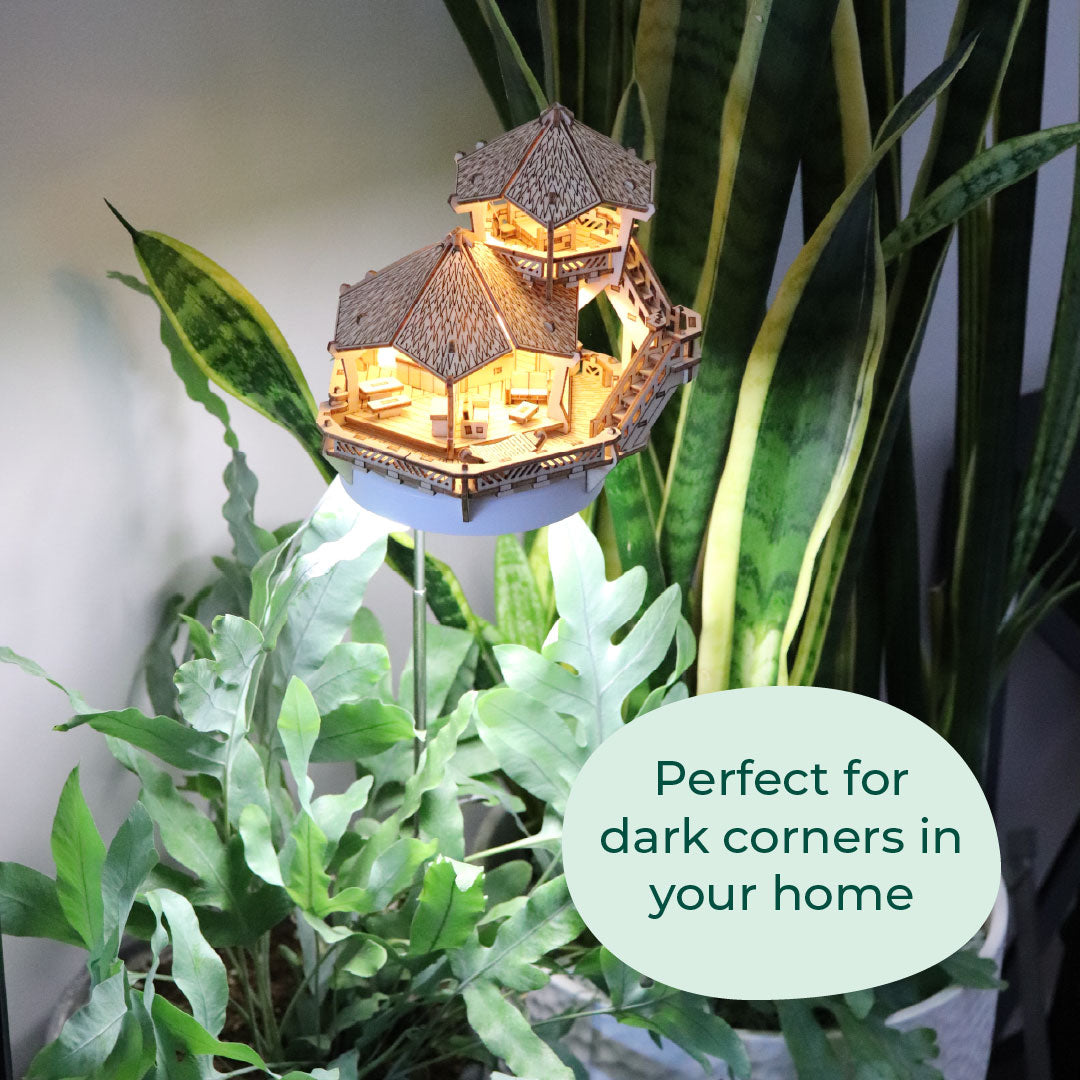 Island Cabana + Grow Light