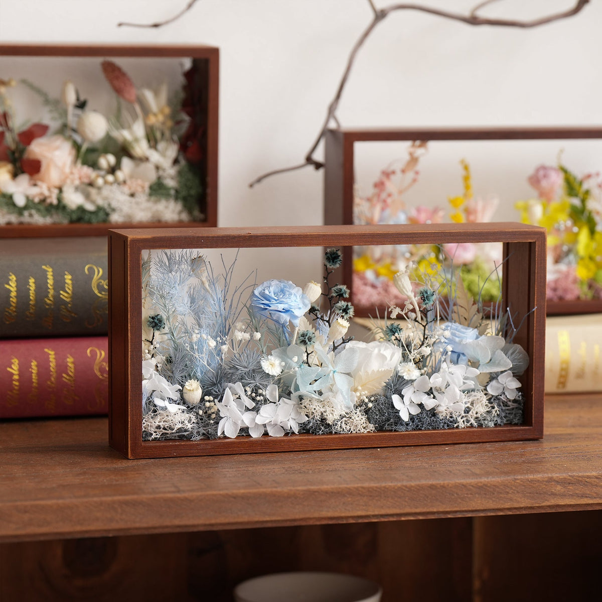 "Micro Landscape Frame" - Real Preserved Flower Mini Garden Shadow Box (Panoramic Desk Decor)